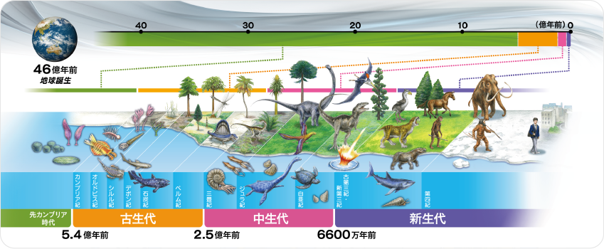 「高校講座」番組用フリップ